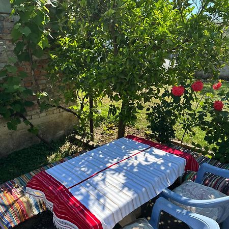 Villa Zefi Rrenc Papaj Esterno foto