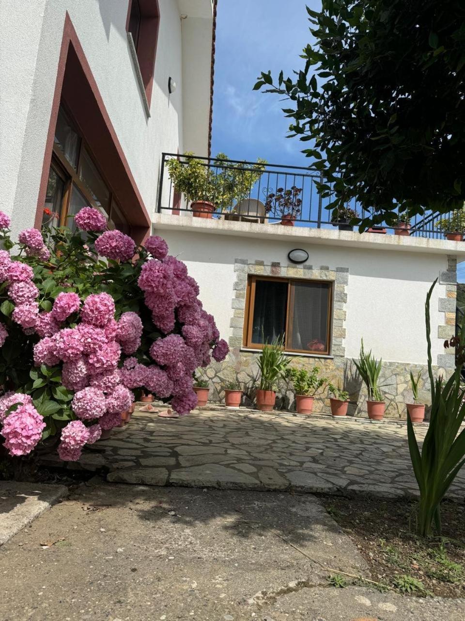 Villa Zefi Rrenc Papaj Esterno foto